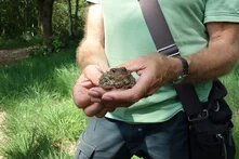 Ein Frosch sitzt in der Hand des Exkursionsleiters