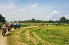 Eine Gruppe von Radfahrenden fährt auf einem schmalen Radweg durch eine gemähte Wiese im Naturschutzgebiet Hammeniederung.