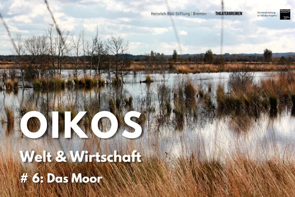 Ein Foto von einer Moor-Landschaft mit Schilf. Darauf steht: OIKOS. Welt & Wirtschaft #6 Das Moor.